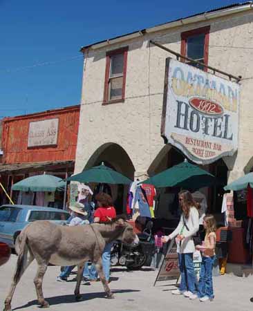 Oatman Hotel